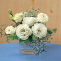 Lisianthus Seeds - Eustoma Lisianthus Sapphire Flower Seed - 20/100/200 Seeds(20 Seeds)