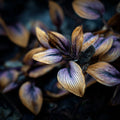 Hosta Seeds 40/200/400pcs — Shade-Loving Perennial Foliage Plant for Gardens(40 Seeds)