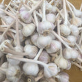 Rocambole Seed Garlic Seeds(20 Seeds)