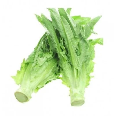 1000+ A-Choy / AA Cai seeds, Taiwanese Sword Leaf Lettuce; heirloom; great autumn crop(1000 Seeds)