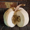 Blanco (white) pumpkin seeds - 10/50/100 count(10 Seeds)
