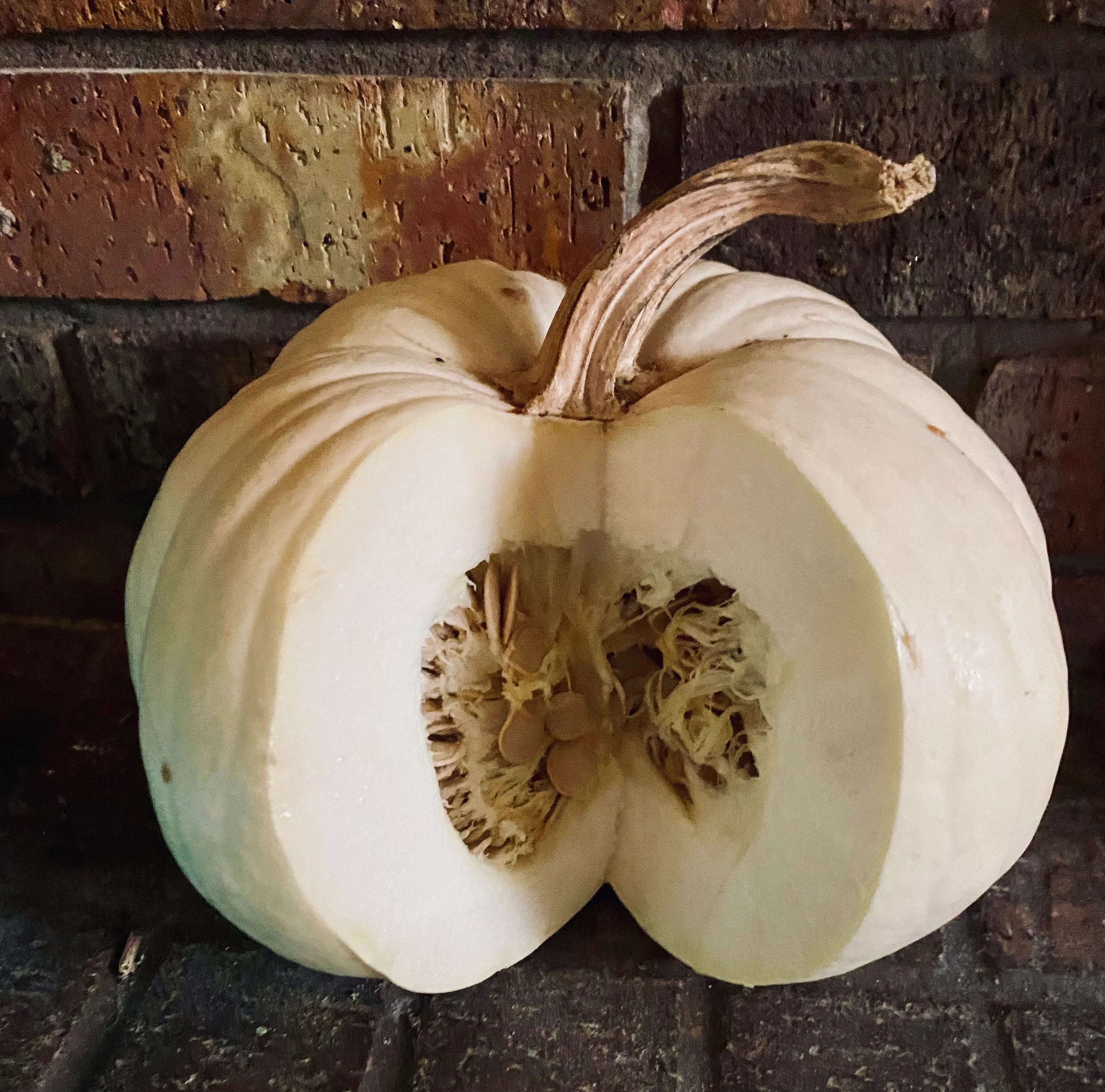 Blanco (white) pumpkin seeds - 10/50/100 count(10 Seeds)