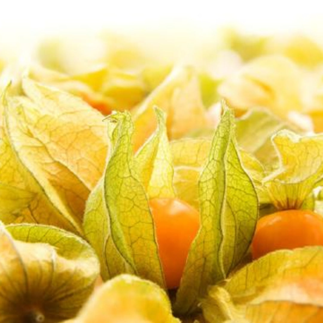 Tomatillo, Ground Cherry - 10/50/100 Seeds - Heirloom Husk Tomato Seeds, Cape Gooseberry, Golden Berry, Husk Cherry, Open Pollinated, Non-GMO(10 Seeds)