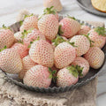 40/200/400+ White Strawberry Seeds: Pineberry Hula berry Alpine Garden(40 Seeds)