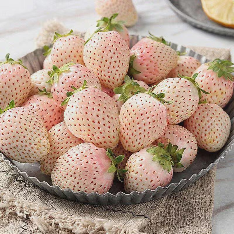 40/200/400+ White Strawberry Seeds: Pineberry Hula berry Alpine Garden(40 Seeds)