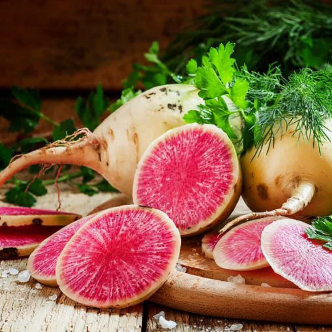 Watermelon Radish Heirloom Seeds - Crisp Salad, Fall Garden, Open Pollinated, Non-GMO(20 Seeds)