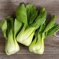 Canton Pak Choi Seeds – Heirloom Bok Choy, Asian Greens for Stir-Fry, Fast Growing, Non-GMO | 20/100/200 Seeds(20 Seeds)