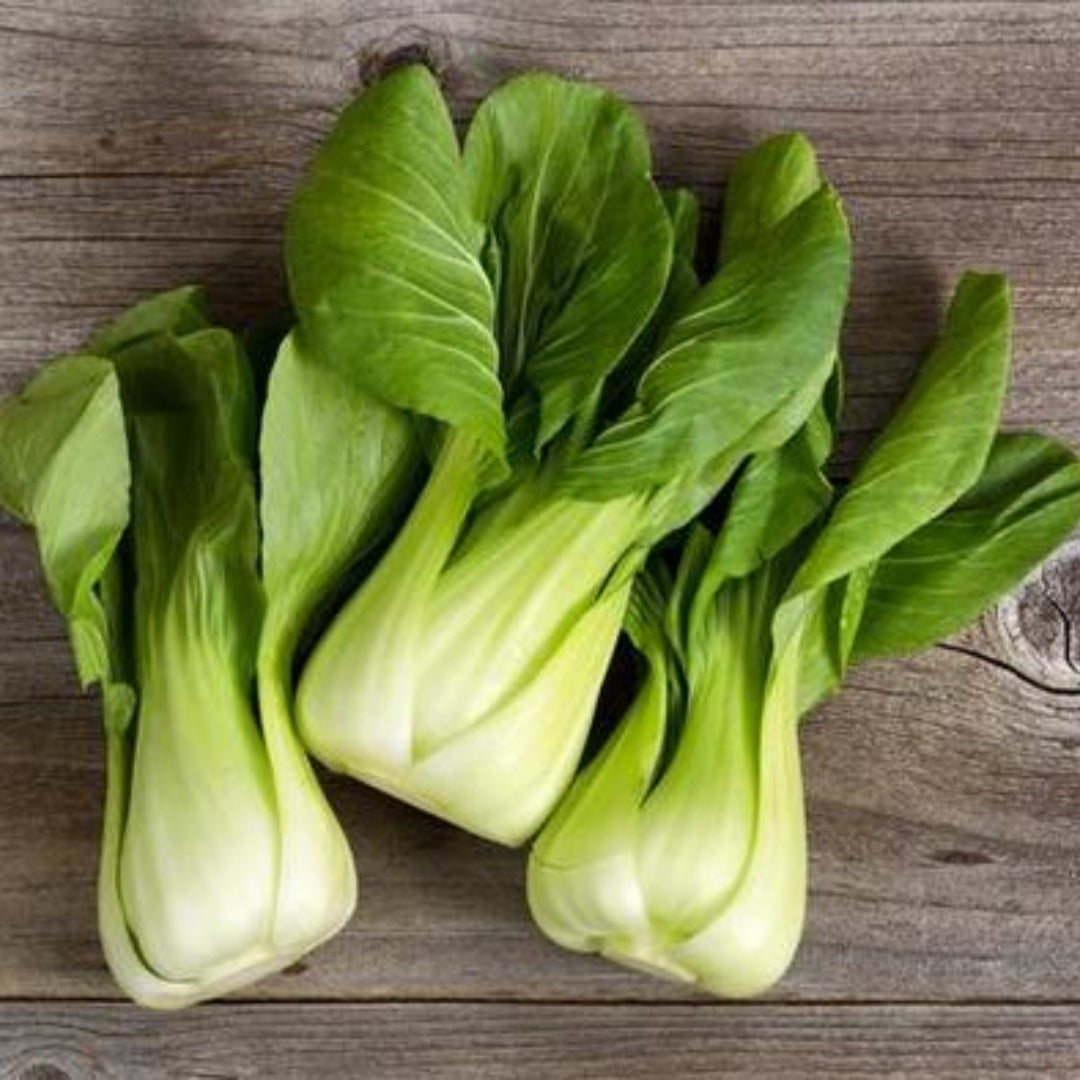 Canton Pak Choi Seeds – Heirloom Bok Choy, Asian Greens for Stir-Fry, Fast Growing, Non-GMO | 20/100/200 Seeds(20 Seeds)
