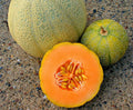 Minnesota Midget Cantaloupe Seeds 5/25/50+ Mini Melon Fruit NON-GMO USA(5 Seeds)