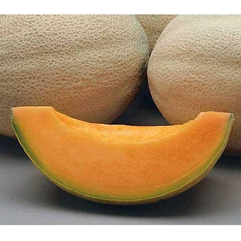 Athena F1 Cantaloupe Seeds(10 Seeds)
