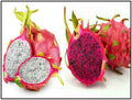 Red Dragon Fruit  White Dragon Fruit (Hylocereus costaricensis -  Hylocereus undatus) Seeds(4 Seeds)